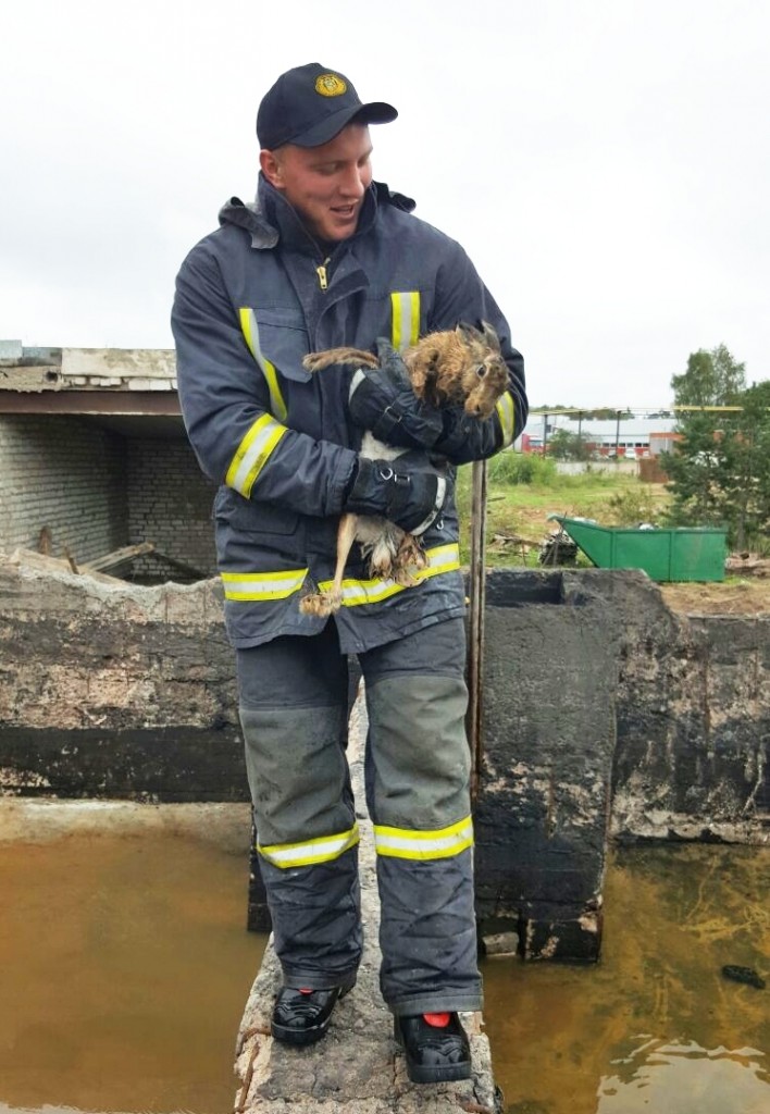 img-20160909-wa0001-1