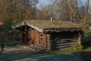  * Pirtiņa Cēsu pievārtē. FOTO: Māris Buholcs