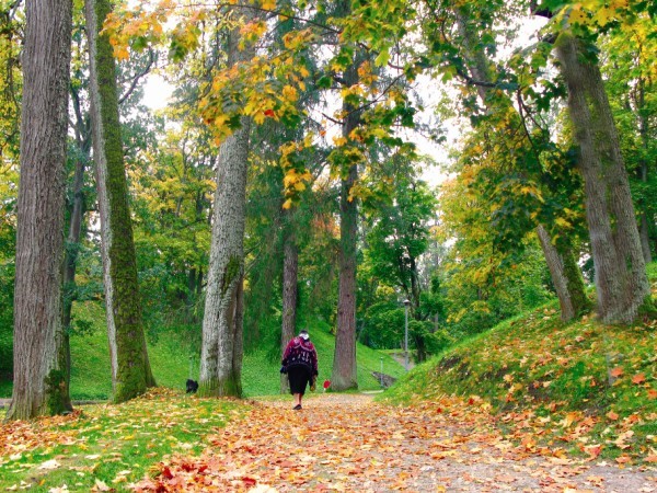 Rudnes 1 Vrozenbergas Foto