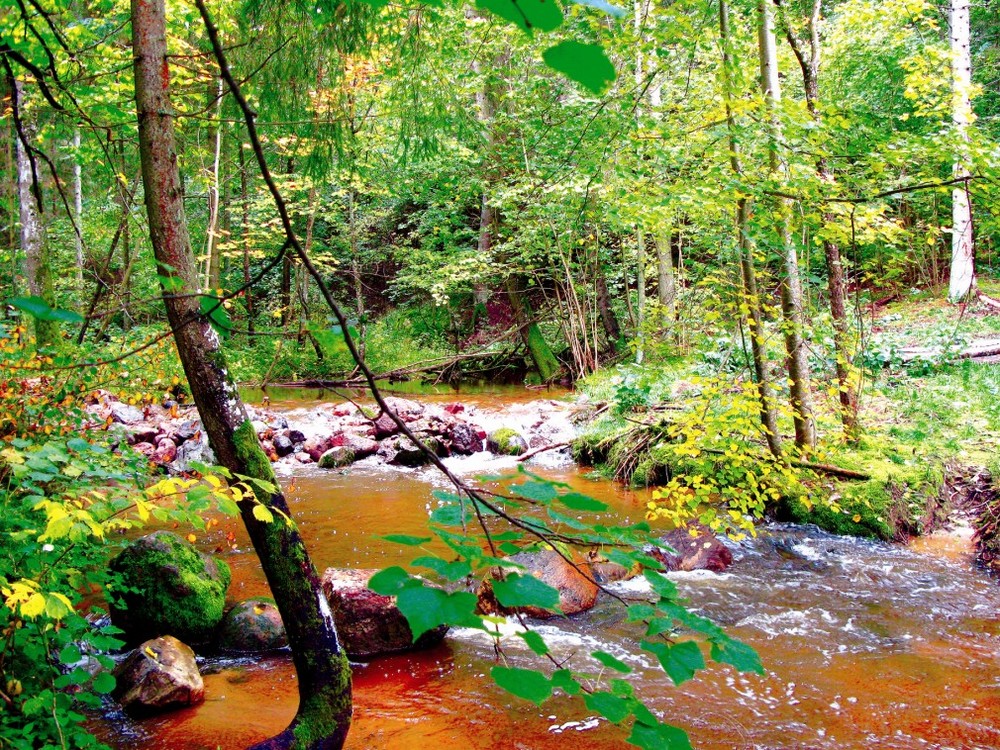 Rudens 3 Vrozenbergas Foto