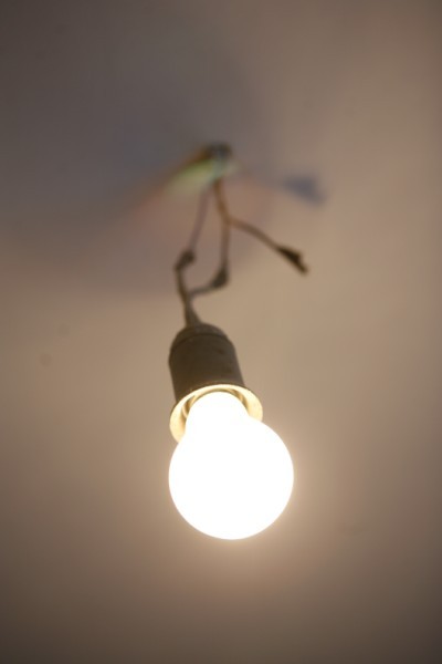 Spuldze Lampa Gaisma Elektr Ba