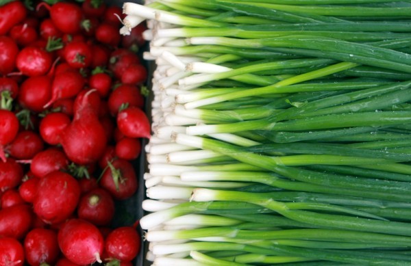 Za Umi Red Si Loci I Pavasaris