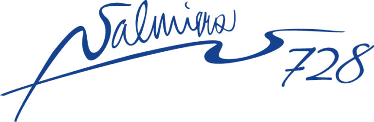 Valmierai 728 Logo 0