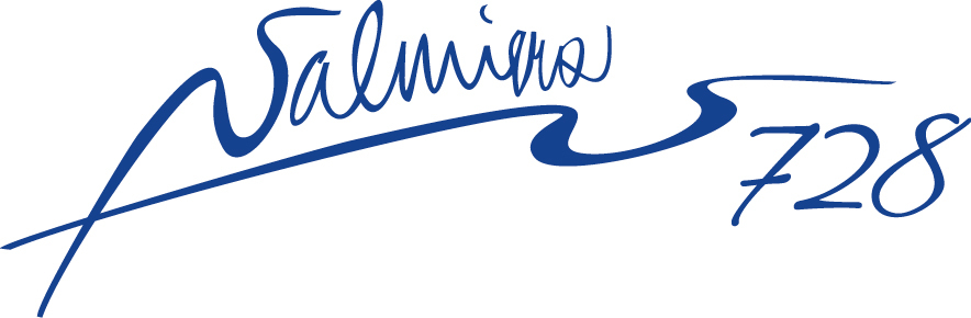 Valmierai 728 Logo 0