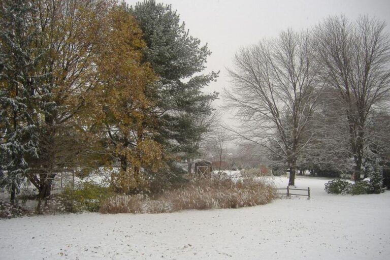 First Snow 2007