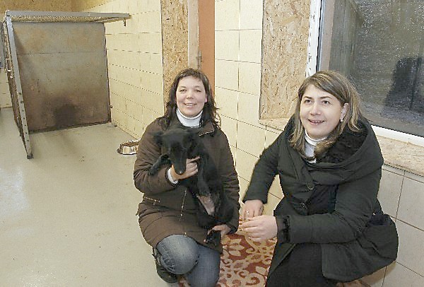 Atklaaj Dziivnieku Patversmi 3