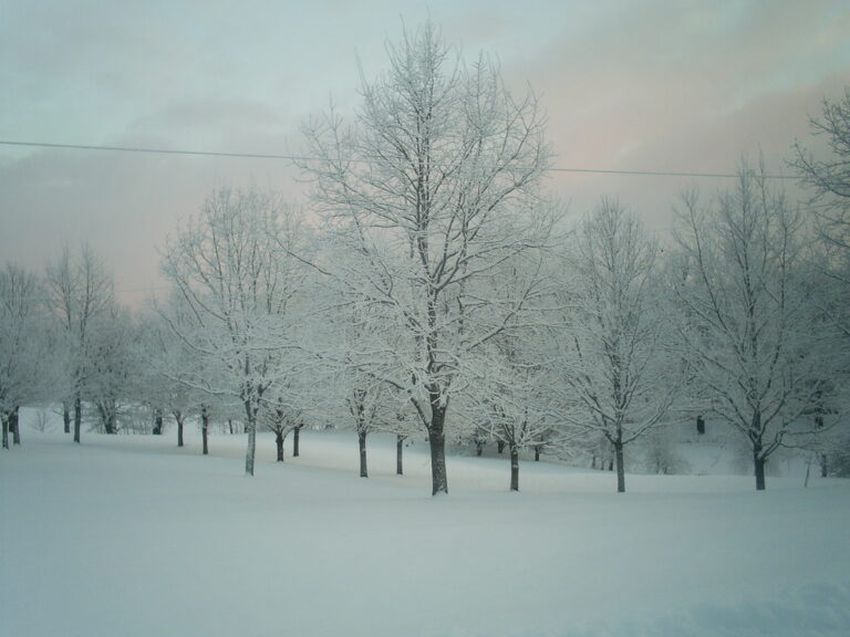 Samsung Digital Camera