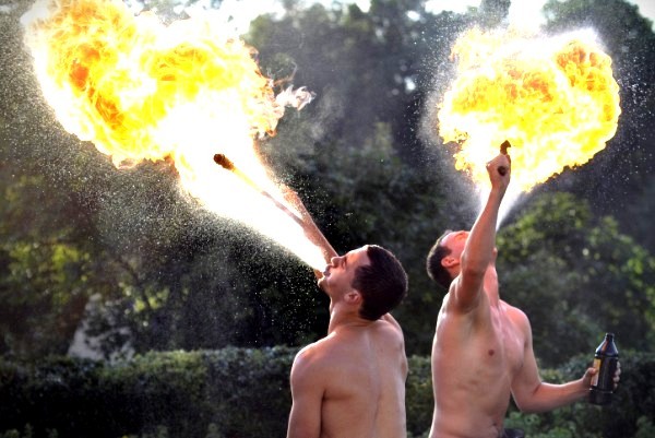 Ugunspueji Nitaures Parka Svetkos