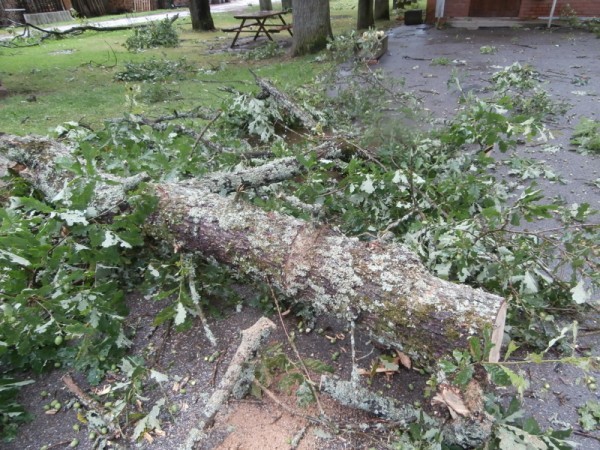 Virpu C4 Bcviesulis 057