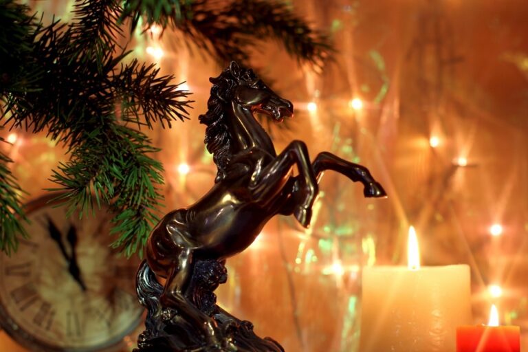 The New Year Of The Horse 2014