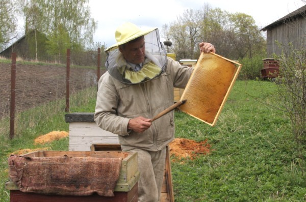 Bisu Drava Sakusies Rosiba Bitenieks