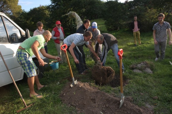 Iestada Kokus Img 9766