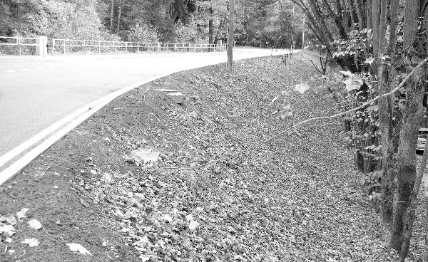 Gaujas Iela Sinkevics