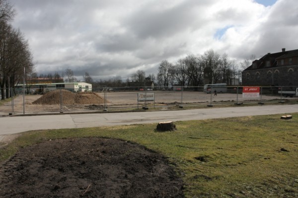 Smilsulaukums Img 6982