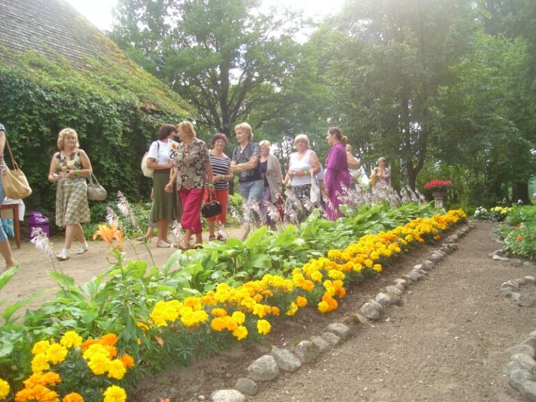 Puku Draugi Priekulos