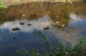 Rauzas Upe E1434149269802 1