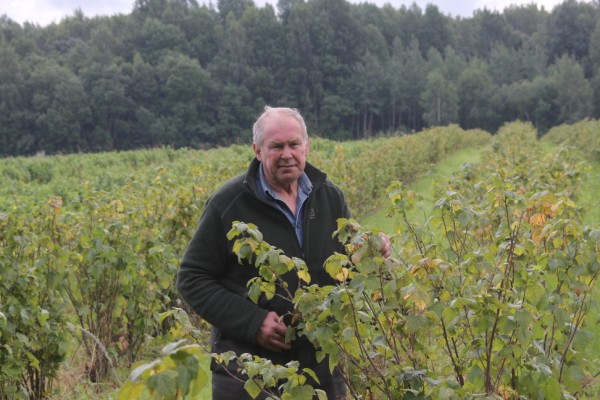 Img 3076 600 X 400 1