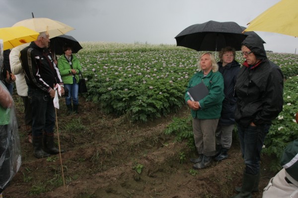 Img 3106 600 X 400 1