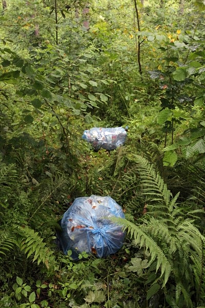 Img 3132 600 X 400 1