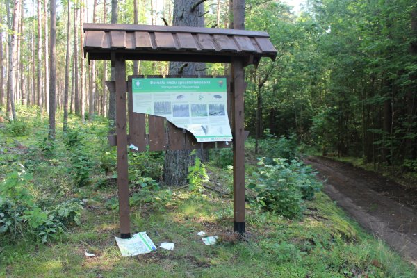 Vandalis Svekupiitee 1