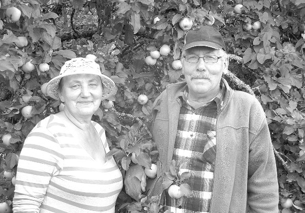 Pag Lapa Vaive Raamuli 2 1