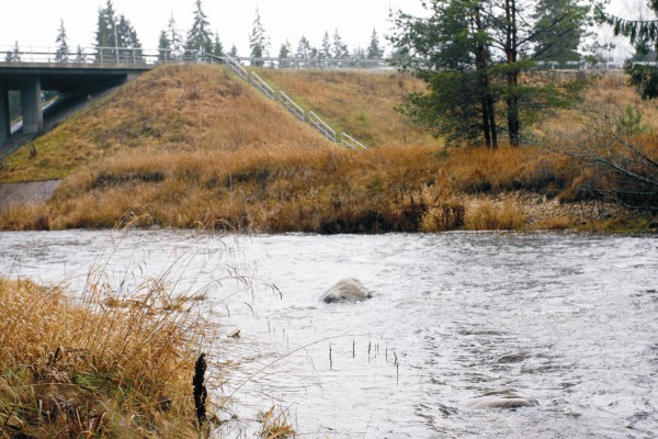 Maz Udens 600 X 400 1