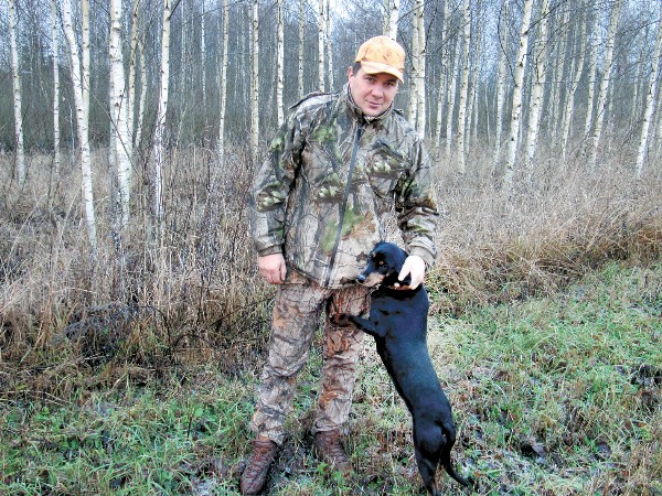 Mednieks Ar Suni Kras 1