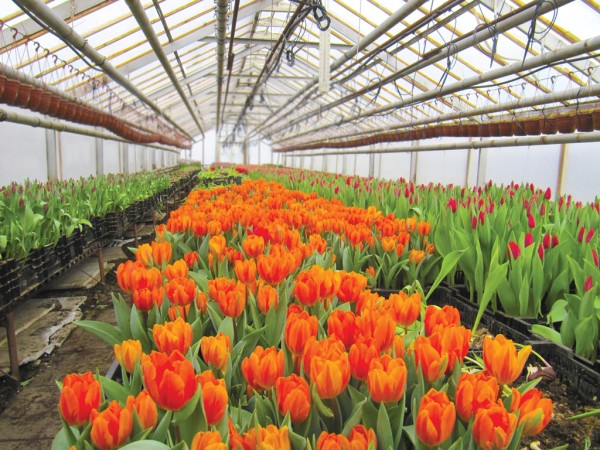 Fotomartamartinsone Pavasaris 4 1