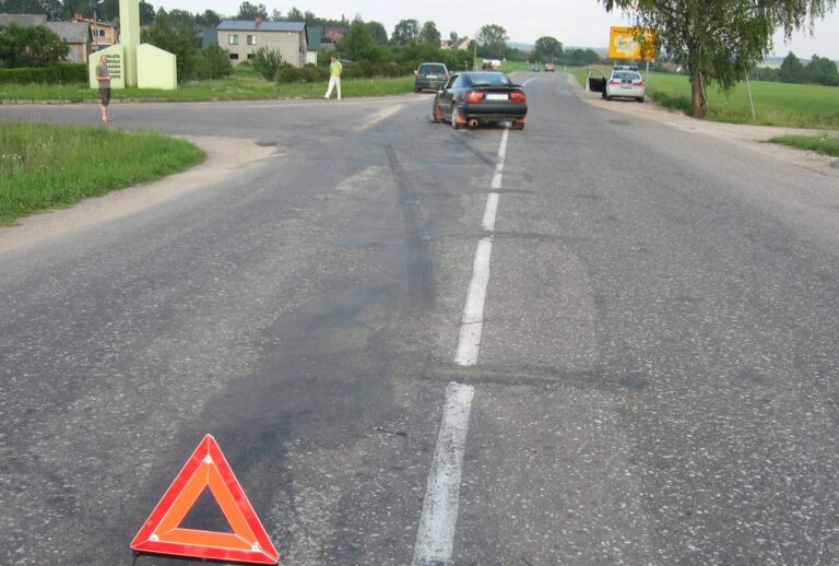 Priekuli Cesu Prospekts Zinatnes Iela Negadijumi E1466405526386