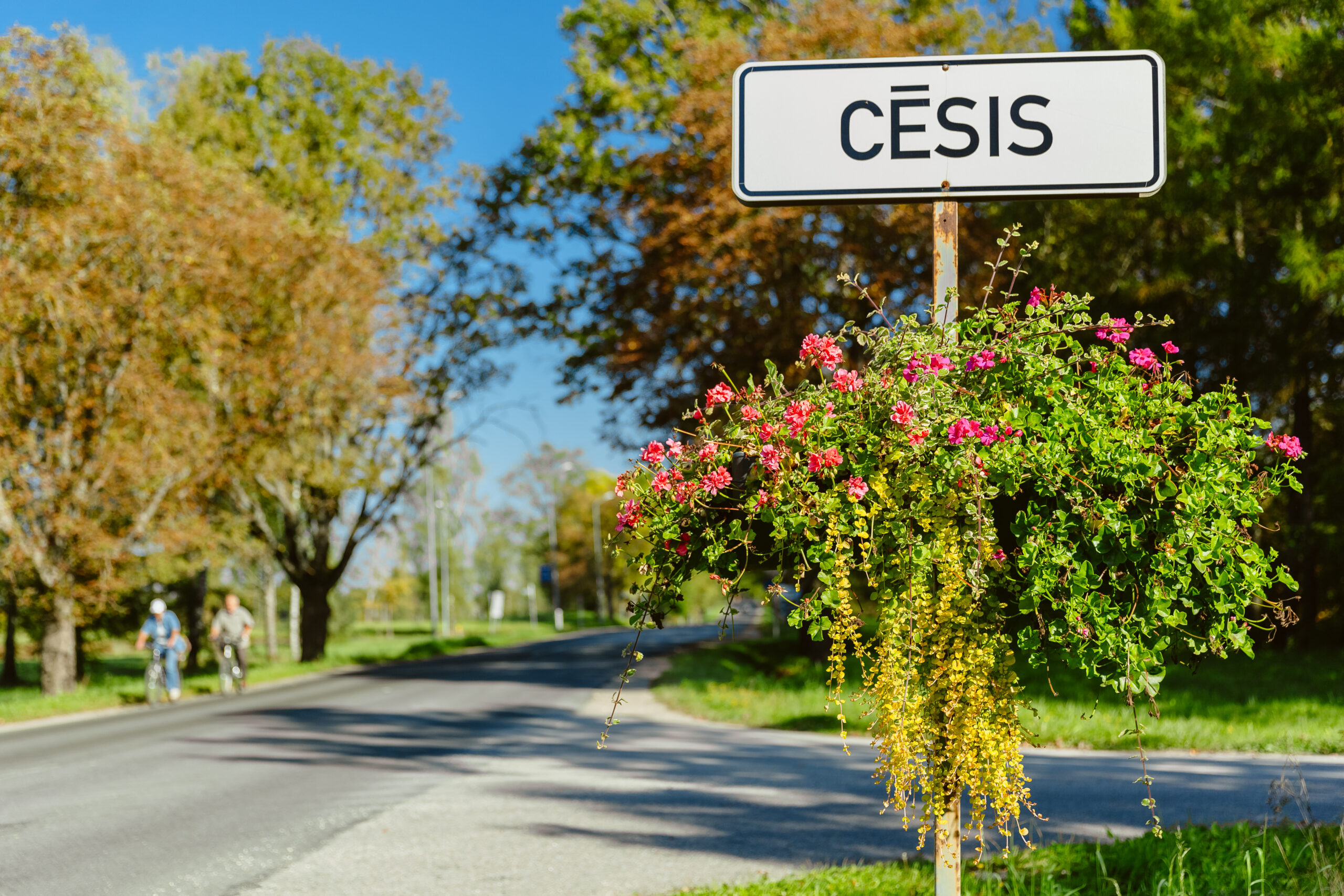 Baltic Pictures 9071 1