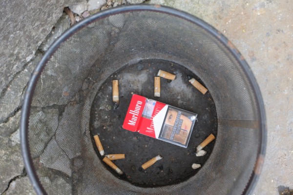 Img 8365 600 X 400 1