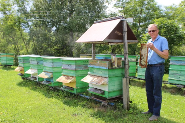 Sietinsons 4 600 X 400