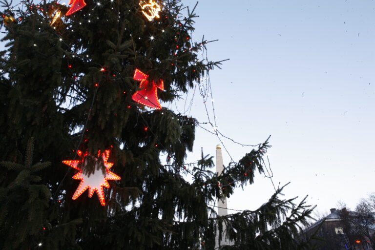 Ziemassvetki Egle Vienibas Laukums Ziema Rotajumi