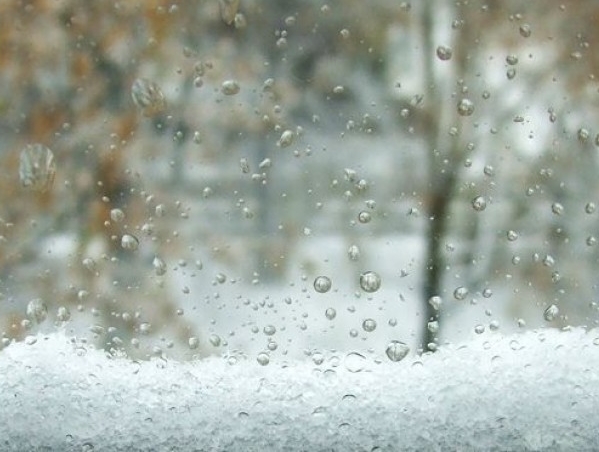 88482 5290440f2a083 1.jpg 1