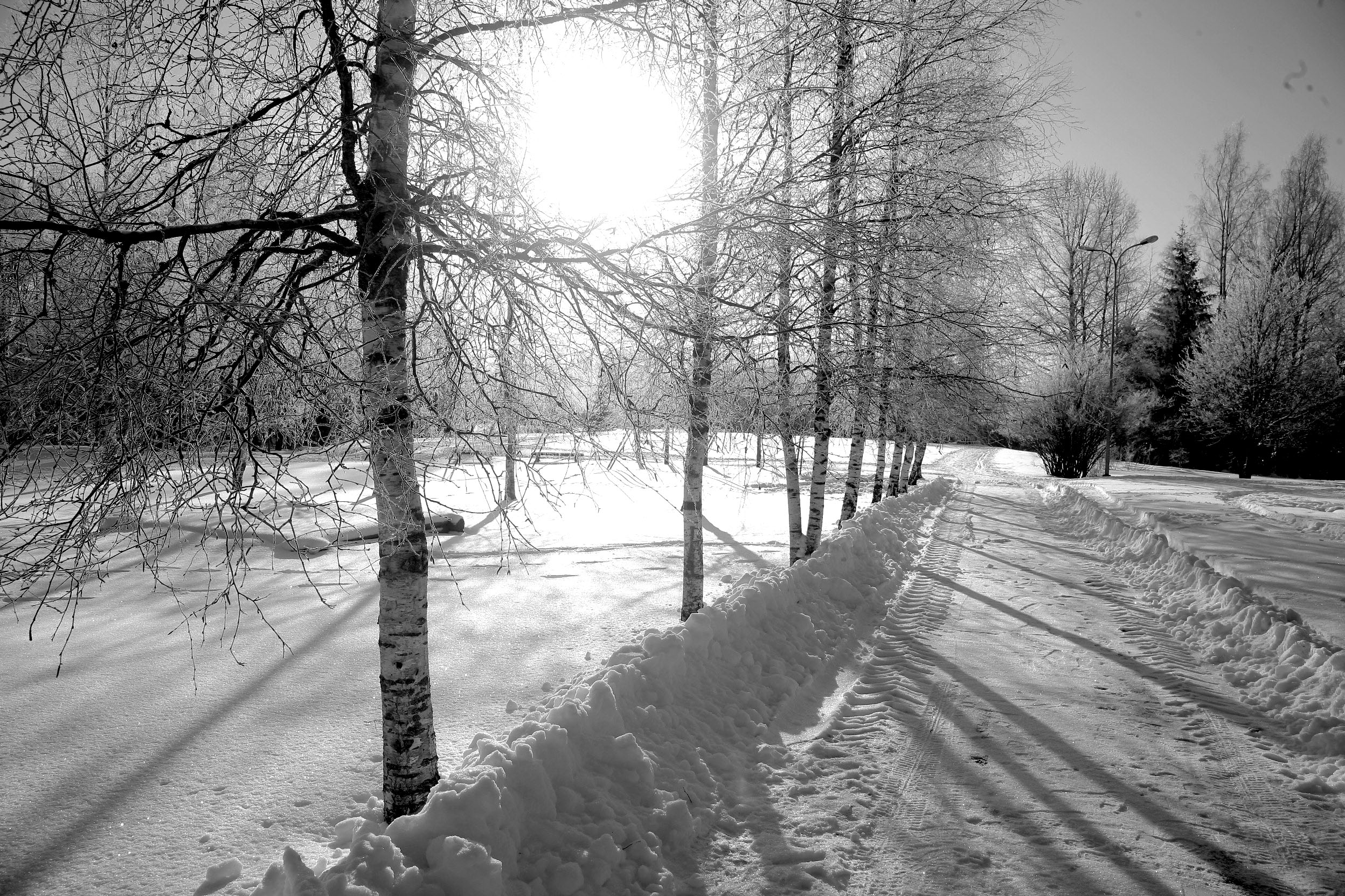 Bilde Onkologijai 2 1