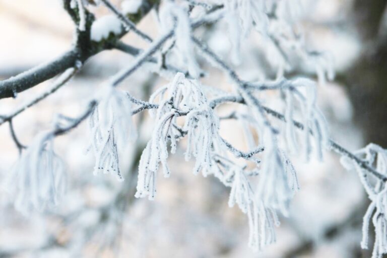 Img 7239 1024x6831 1