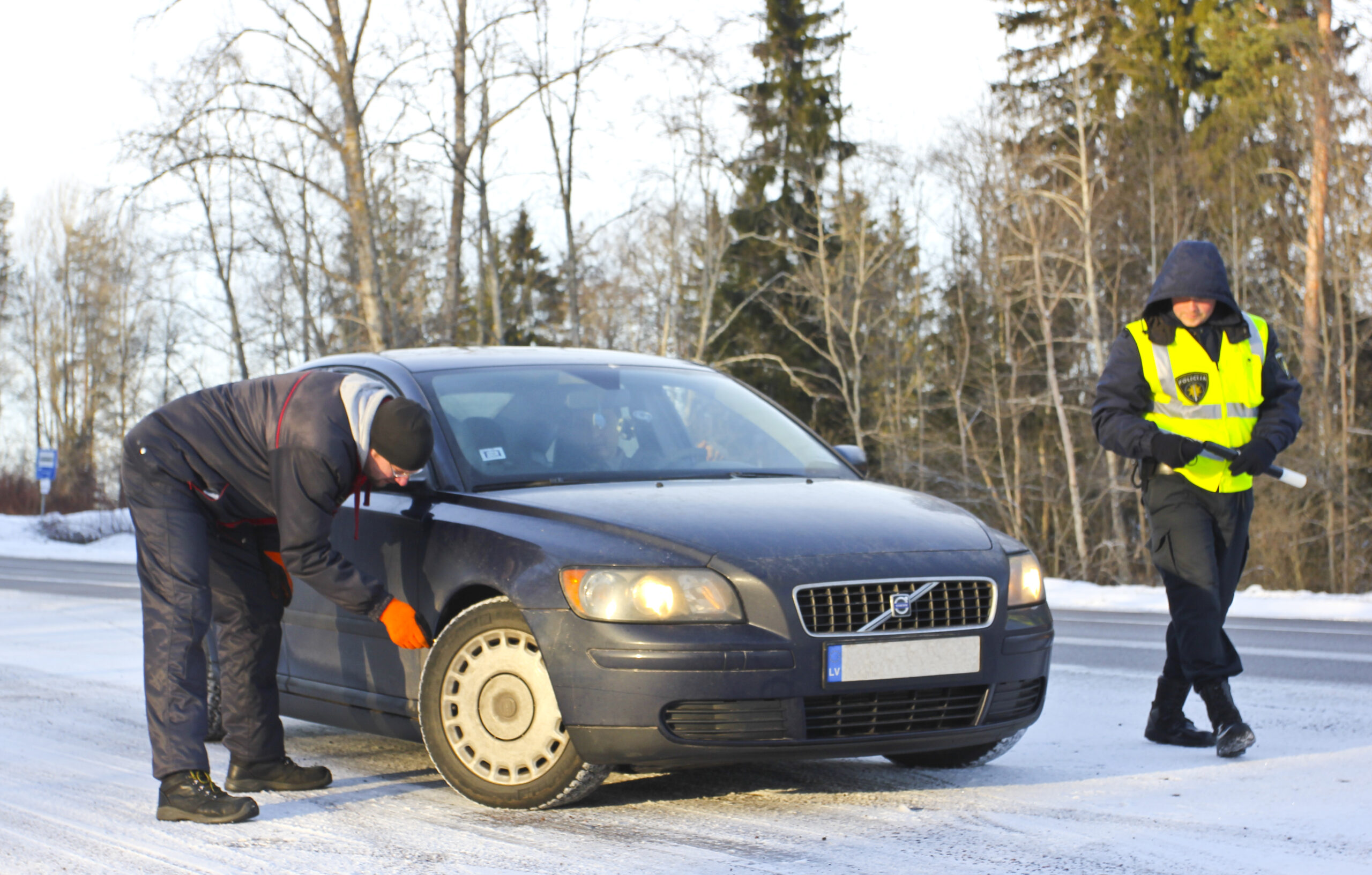 Reids Fotomarta 11 1