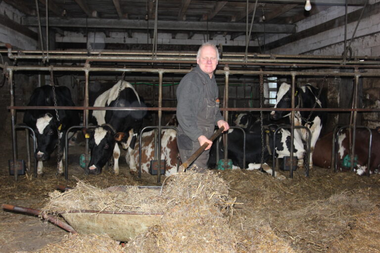 Zsdainas Fotomarta 1