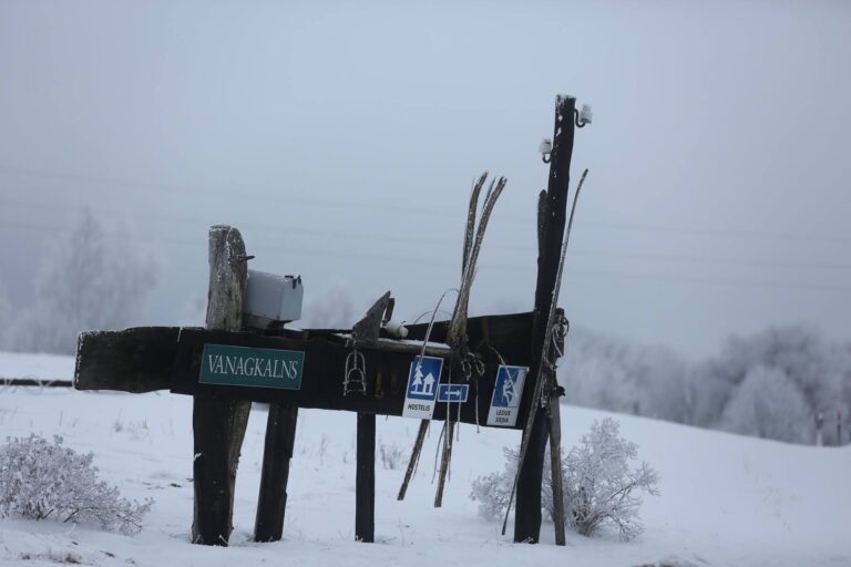 16601850 1271770046238308 7249558446137693193 O 1