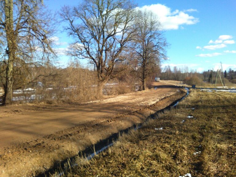 Img 20170316 Wa0001 1