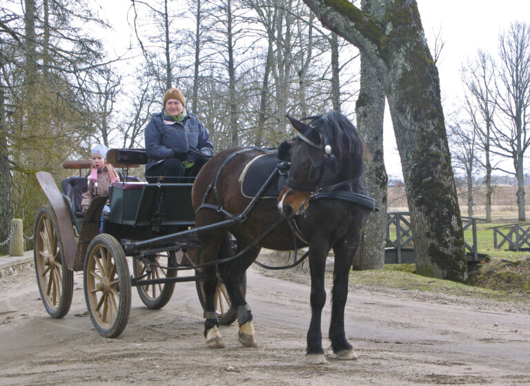 Baizhkalna Zirgi 1 1