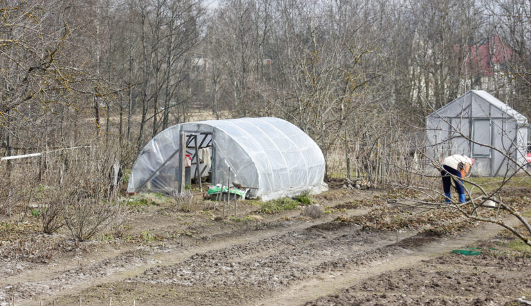 Mazdaarzs Fotomarta 1