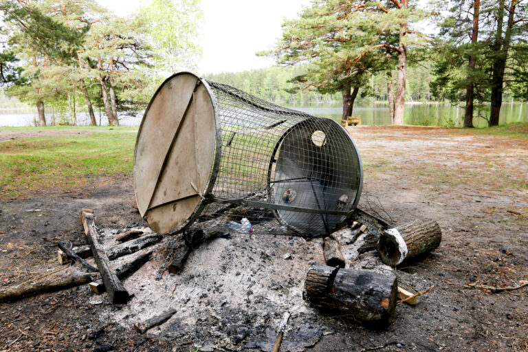 Ninieris3 Fotomarta 1