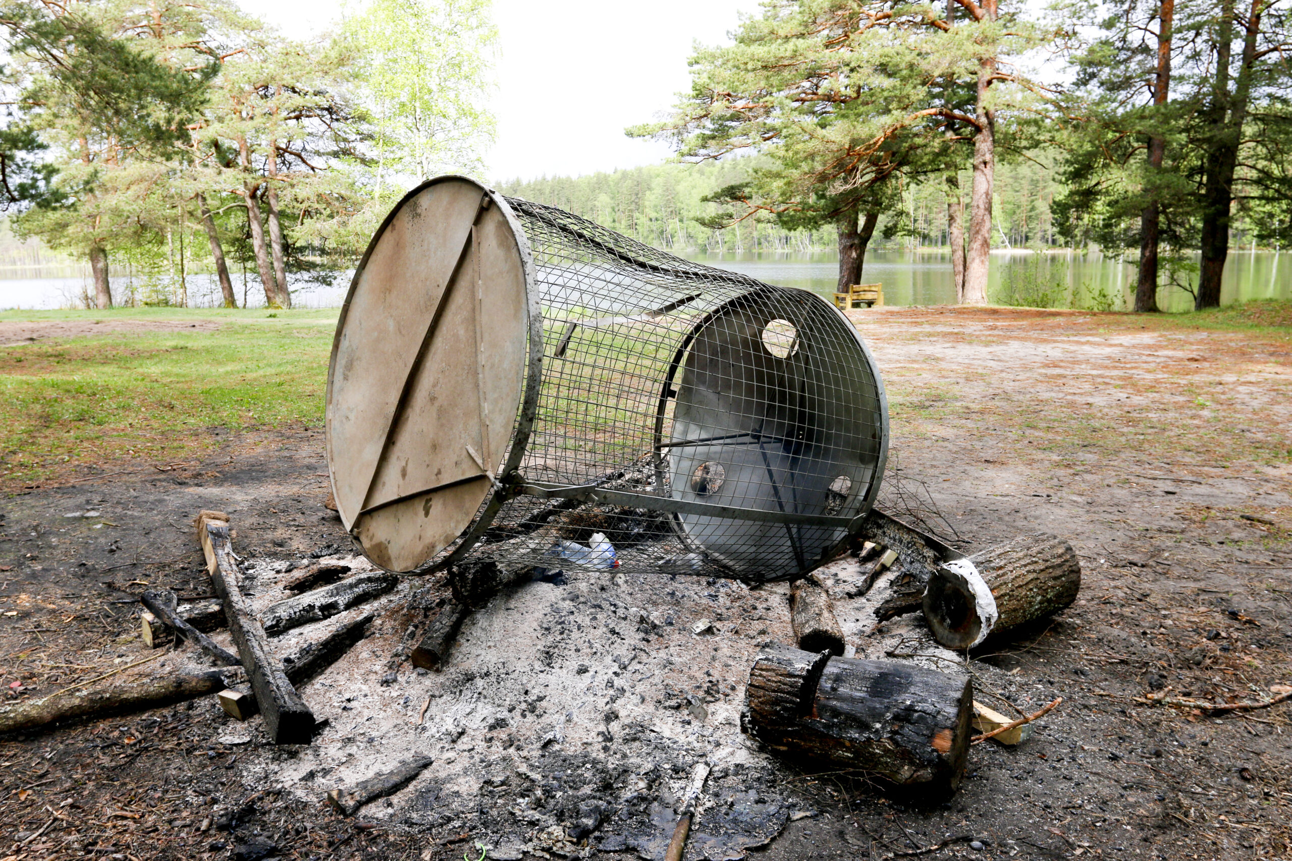 Ninieris3 Fotomarta 1