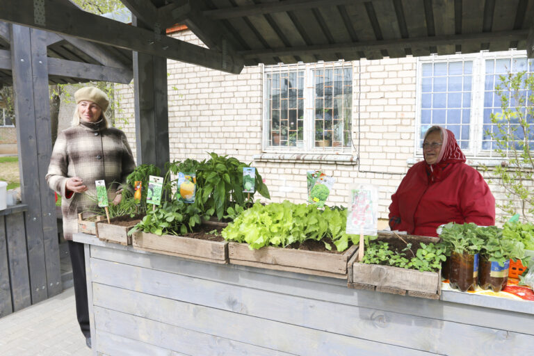 Staadi Fotomarta 9 1