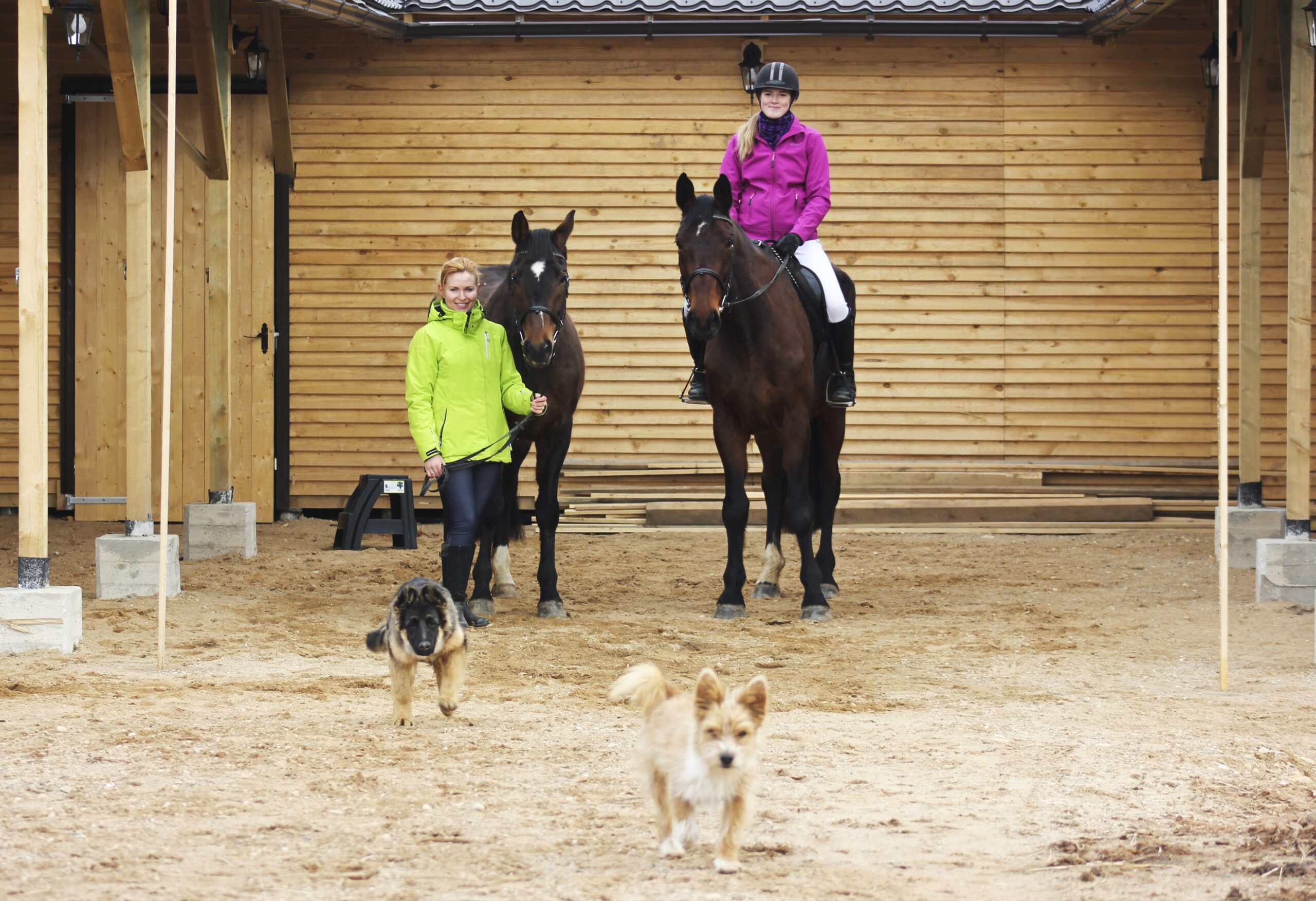 Stallis Fotomarta 11 1