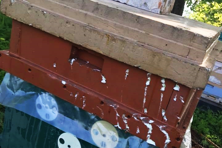 18740005 1872880796297797 6825689572013227904 N 1