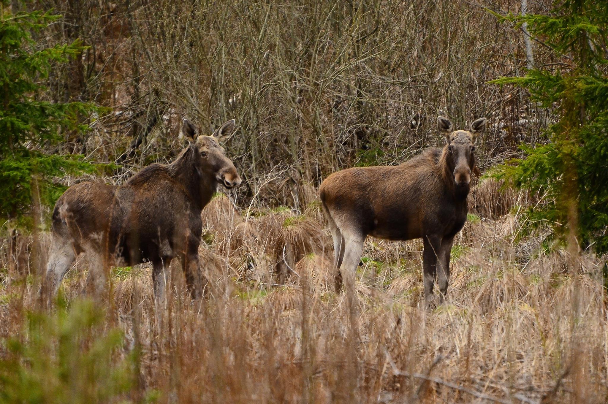 19143937 757220077795921 6508924365909536053 O 1