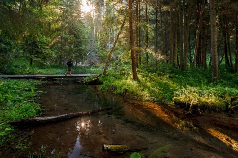 Cirulisu Dabas Takas 1