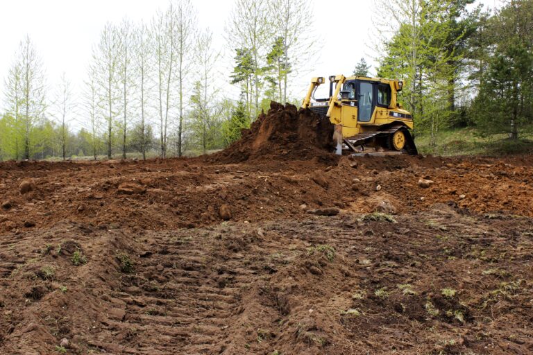 Regbija Laukums Jaunpiebalga 11